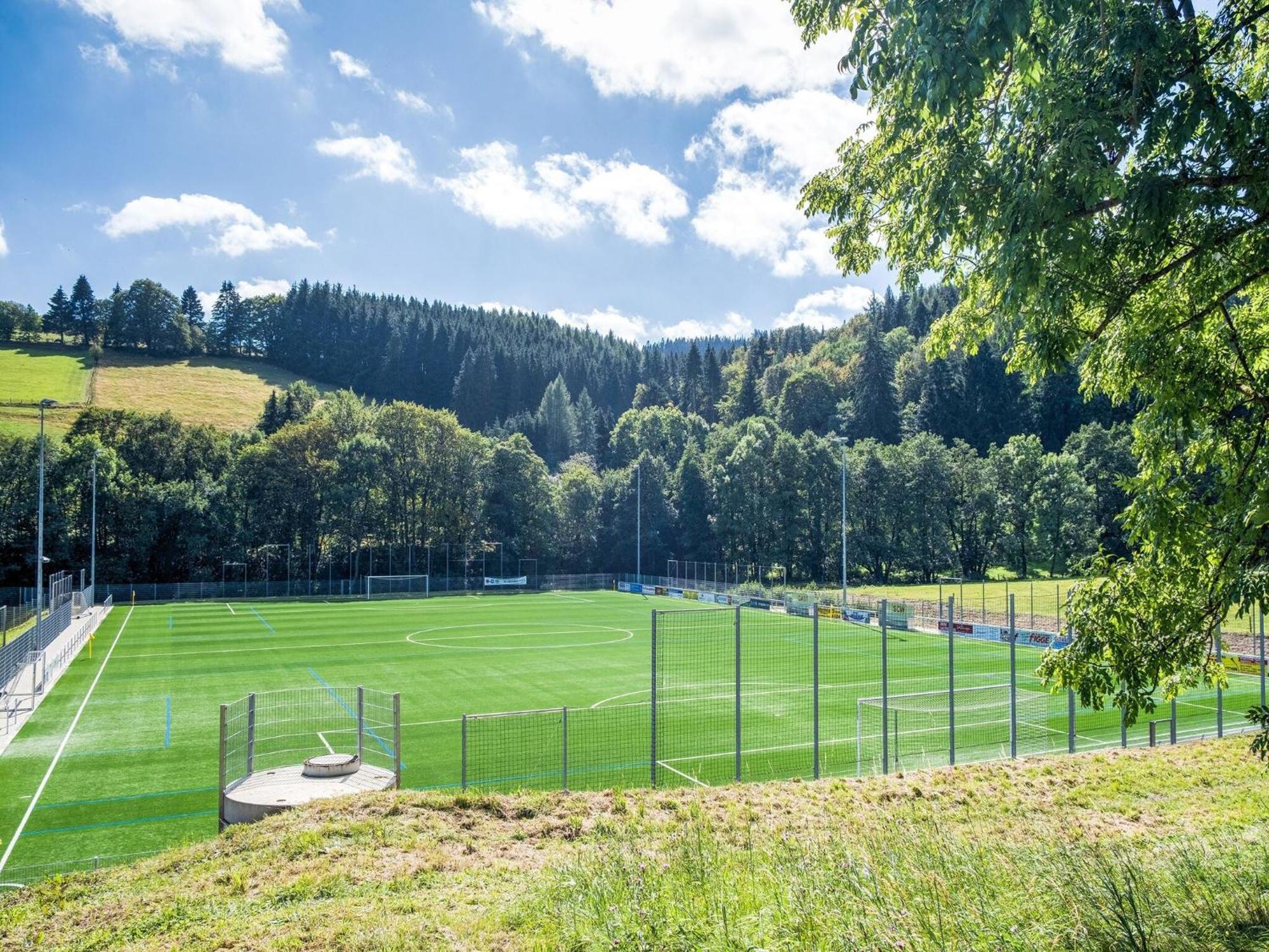 Modern Apartment In Schwalefeld With Garden Willingen  Eksteriør bilde