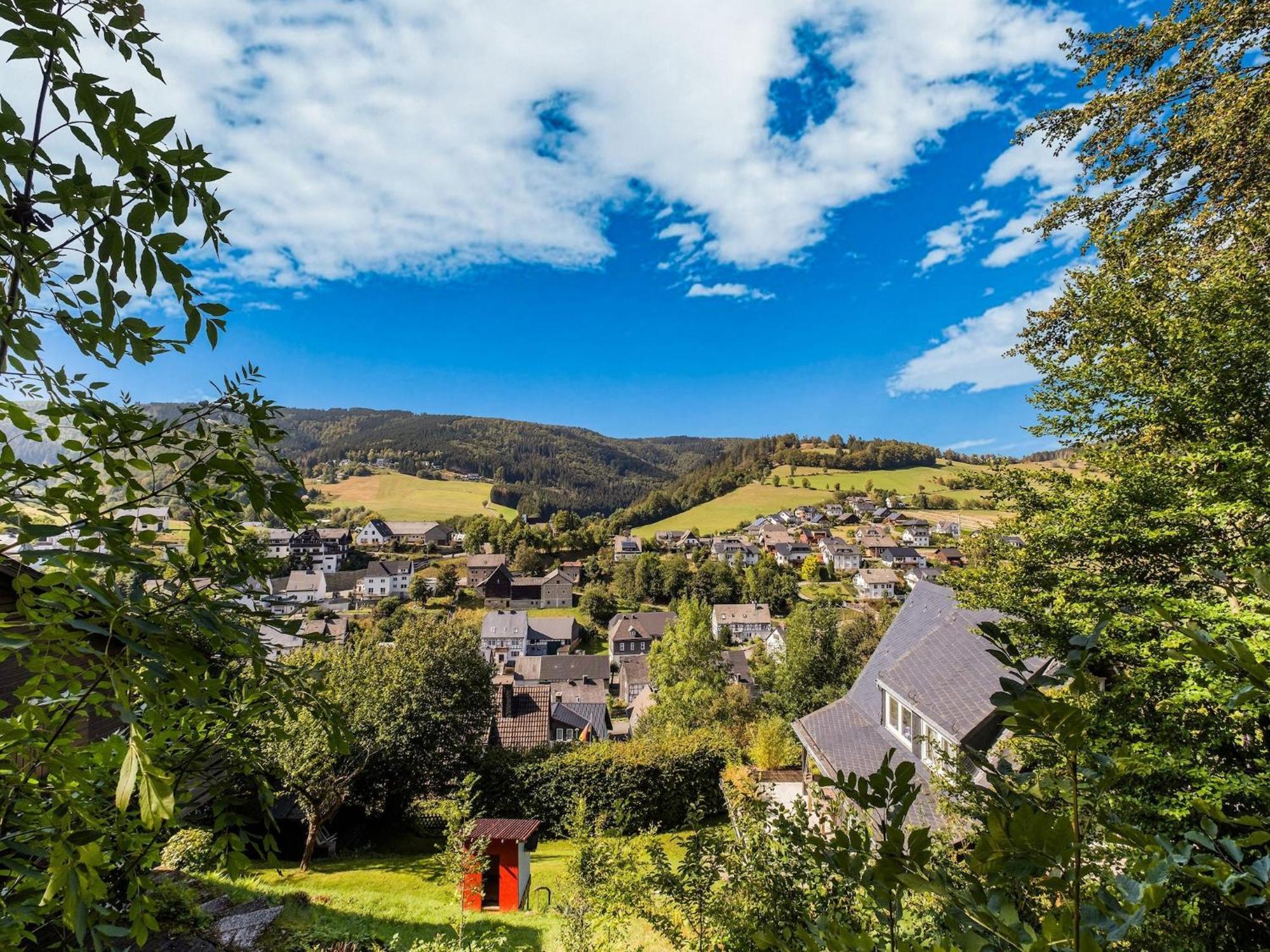 Modern Apartment In Schwalefeld With Garden Willingen  Eksteriør bilde