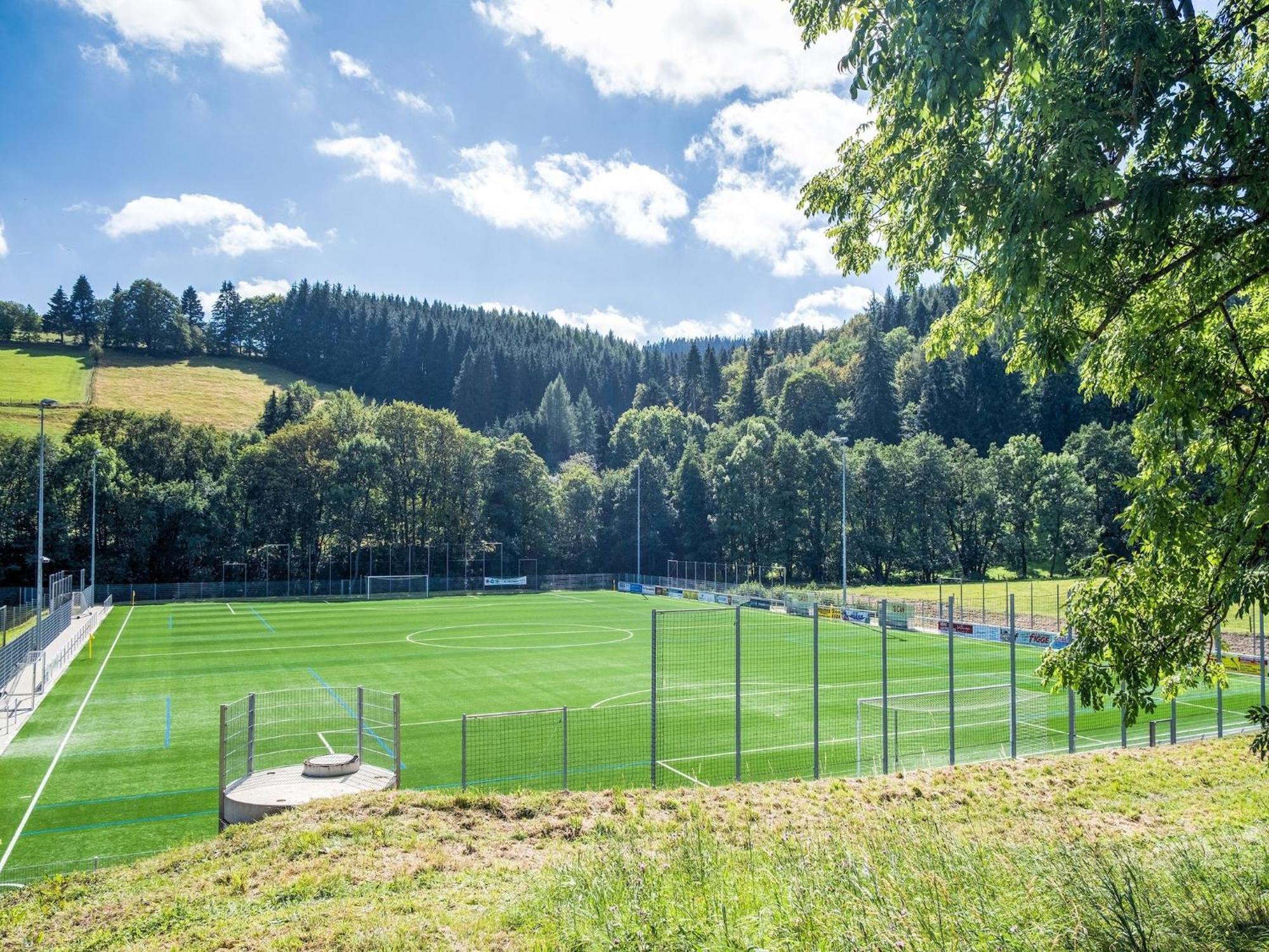 Modern Apartment In Schwalefeld With Garden Willingen  Eksteriør bilde